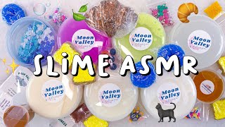 SATISFYING SLIME ASMR 🌙 Moon Valley Underrated Slime Shop Unboxing [upl. by Jordison]