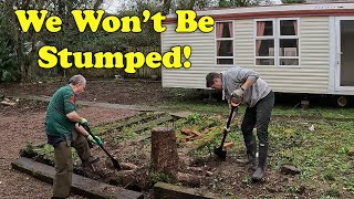 How To Remove A Tree Stump Without Big Machinery [upl. by Elleuqar619]