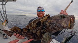 Southern California Fishing  PERSONAL BEST LINGCOD CatchCleanCook at the Coronado Islands [upl. by Cheatham]