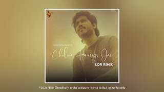 Nibir Chowdhury  Cholona Hariye Jai Lofi Remix BIR Release [upl. by Hogle635]