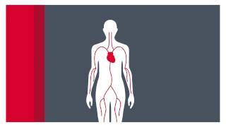 What is atrial fibrillation [upl. by Ajay]