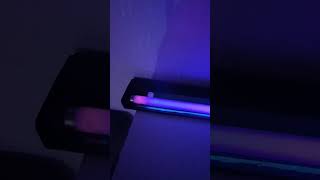 BLB Blacklight 20W ROHS [upl. by Ehttam]