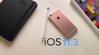 iOS 113 on iPhone 6s Performance and New Features [upl. by Sterling214]