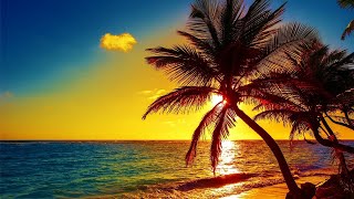 Beautiful Relaxing Peaceful Music Calm Music 247 quotTropical Shoresquot By Healing Soul [upl. by Aikym972]