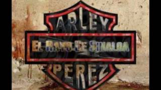 El Invitado  Arley Perez  Con Epicenter ByzhaNekitom®wmv [upl. by Abdel]