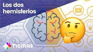 Partes del CEREBRO Hemisferios lóbulos y materia gris [upl. by Paten184]