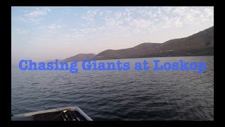 Chasing Loskop Giants part1 [upl. by Meikah28]