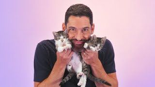 Tom Ellis The Kitten Interview [upl. by Puritan]