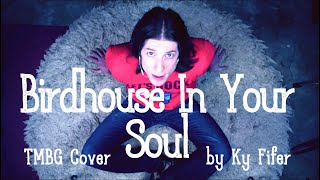 Birdhouse In Your Soul TMBG Cover by Ky Fifer [upl. by Cherilyn]