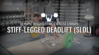 StiffLegged Deadlift SLDL  Olympic Weightlifting Exercise Library [upl. by Topping]