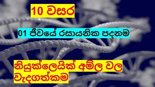 නියුක්ලෙයික් අම්ලවල වැදගත්කම nuwana [upl. by Cathrin]