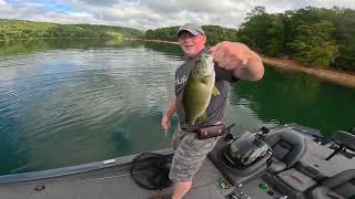 Norris lake Bass fishing October 4th [upl. by Ebba]