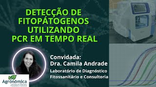 Detecção de Fitopatógenos com PCR em tempo real [upl. by Auot]