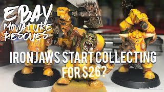 eBay Miniature Rescues  Ironjawz start collecting for 26 [upl. by Pelagias]