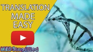 DNA Translation Made Easy [upl. by Ynatil]