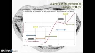 La phase photochimique de la photosynthèse [upl. by Satsoc601]