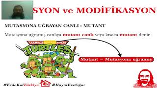 6 Mutasyon ve Modifikasyon  8 Sınıf [upl. by Ressay589]