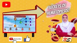 Secrets in Clinical Pathology 3 Hematopoiesis [upl. by Daisie]