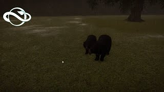 Formosan Black Bear Gameplay Planet Zoo HD [upl. by Alleunam800]