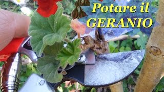 POTARE IL GERANIO [upl. by Nnyre]