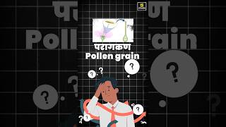 What is Pollen Grains biology pollengrain shorts  Krishnakant Sir [upl. by Holofernes92]