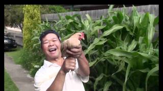 Mychonnys Dad  I Sell Chicken [upl. by Anivid]