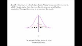 Statistics  1  Terms  7  Standard Deviation [upl. by Shanney932]