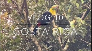 Costa Rica Vlog 10 Monte Verde Cloud Forest hanging bridges and shopping [upl. by Cilurzo969]