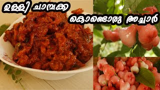 ചാമ്പക്ക അച്ചാർ  Rose Apple Pickle  FlavoursLand [upl. by Aibun]