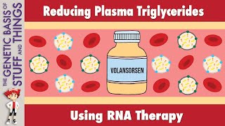 Volanesorsen A novel treatment for high triglyceride levels [upl. by Lajet]