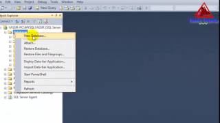 How to export and import database in SQL Server 2012 [upl. by Anitreb467]