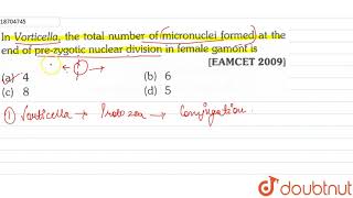 In Vorticella the total number of micronuclei formed at the end of pre zygotic nuclear [upl. by Kanor706]