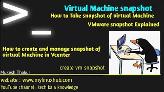 How to Take Snapshots of Virtual Machines in VMware  VMware snapshot Explained [upl. by Rick]