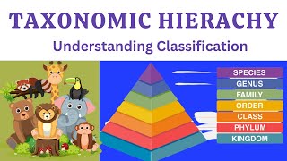 Taxonomic HierarchyTaxonomic Classification Class 9Taxonomic Classification for Class 9Explained [upl. by Aniroc]