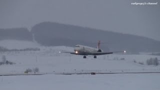 旭川空港 Japan Airlines JAL McDonnell Douglas MD90 JA8020 着陸 2012128 [upl. by Kris]