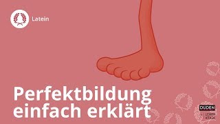 Perfektbildung einfach erklärt – Latein  Duden Learnattack [upl. by Ida472]