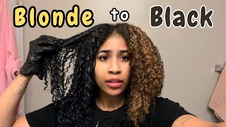 Going from Blonde to Black…Did I make a big mistake [upl. by Alethea]