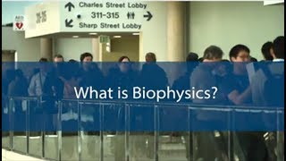 What is Biophysics [upl. by Klina692]