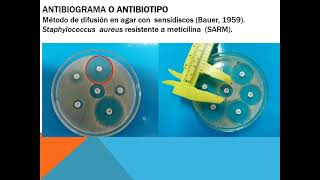 Resistencia bacteriana v21 [upl. by Ijar]