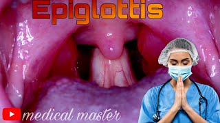 Functions of Epiglottis [upl. by Auahsoj]