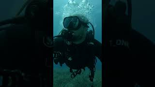 dalış scuba vlog ayvalık underwater couple scubadiving dive [upl. by Retepnhoj]