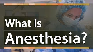 What is Anesthesia  Types of Anesthesia And How does it Work  Education Terminology [upl. by Orlina]