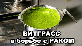 🌿 ВИТГРАСС может помочь в борьбе с раком  Смотрим вместе с вами статью из PabMed [upl. by Latsirk]