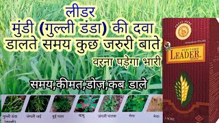 Leader herbicide leader dalne ka tarika  sulfosulfuron herbicide dose  leader dalne ka sahi samay [upl. by Enninaej]