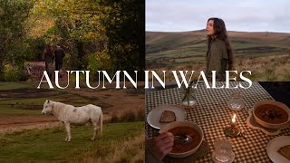 Cozy Autumn days  countryside walks tea chats and Autumns Lessons [upl. by Cioban]