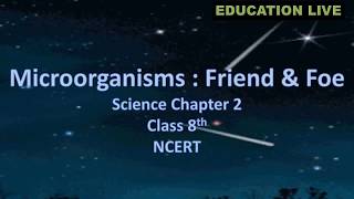 Microorganisms – Friend amp Foe Science Chapter Class 8th NCERT CBSE syllabus [upl. by Mayor]