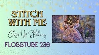 STITCH WITH ME  CloseUp Stitching  HAED Mini Alternative Reality Flosstube 238 STITCHERY LOVERS [upl. by Onitsirc663]