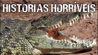 As histórias de Ataques de CROCODILOS mais horríveis de todos os tempos  Maratona Ep 03 [upl. by Haroved441]