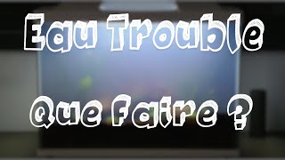 Leau de mon AQUARIUM est TROUBLE que faire [upl. by Aimerej]