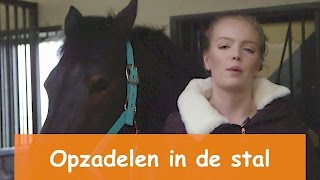 Opzadelen in de stal amp toffe Winactie  PaardenpraatTV [upl. by Rajewski928]